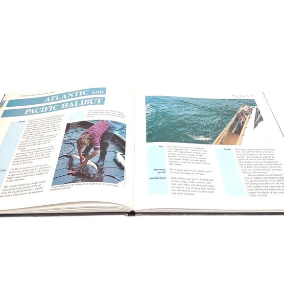 Saltwater Game Fish of North America Book Herbert A. Schaffner 1989 Hunting VTG - Picture 4 of 12
